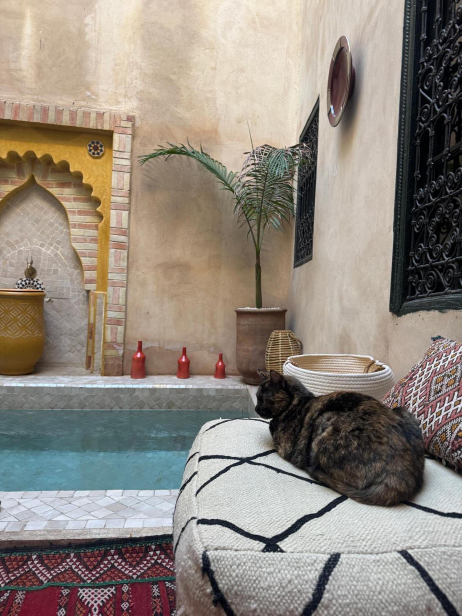 Riad Paquerette مراكش المظهر الخارجي الصورة